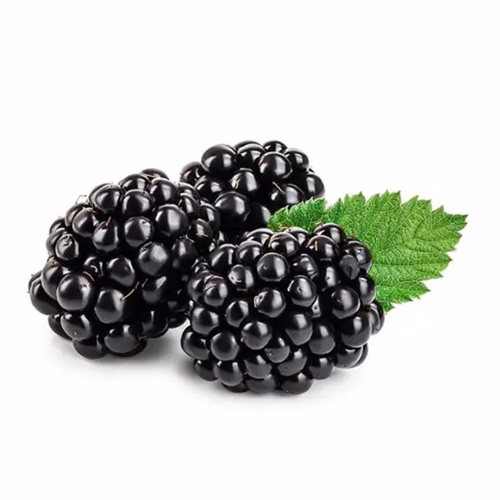 Blackberry 125g Mexico